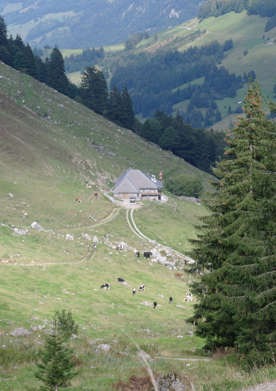 chalet